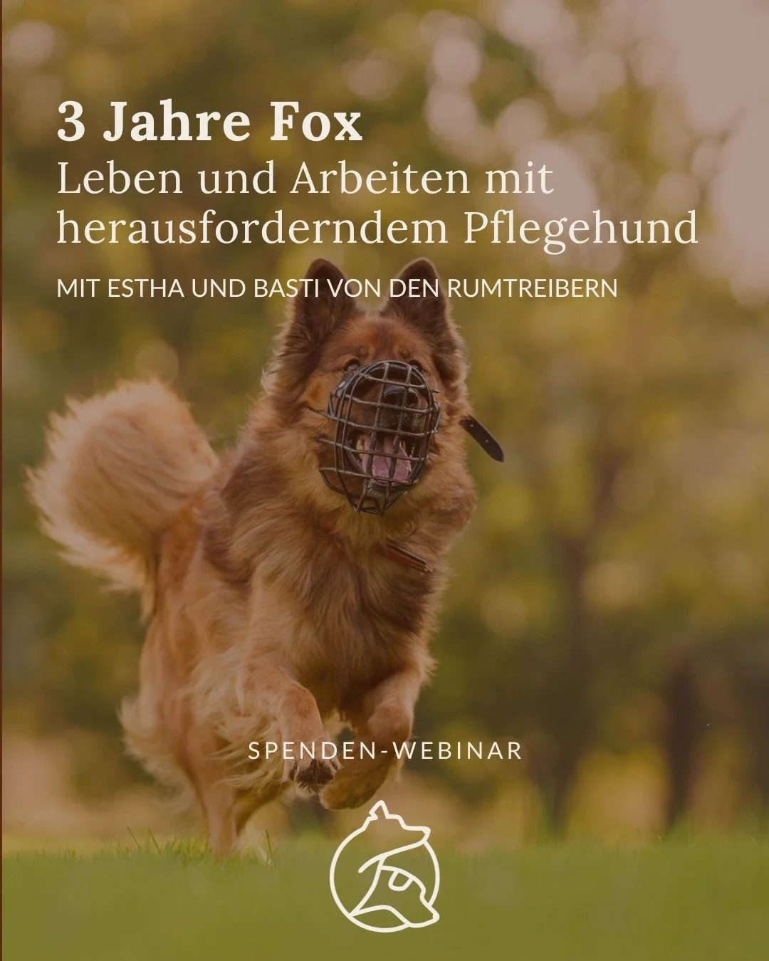 🦊 Eine &Auml;ra geht bald zu Ende. 
Fox zieht auf eine neue Pflegestelle. Wir wollen die Zeit bei uns Revue passieren lassen und berichten, was wir alles gemeinsam erlebt und erreicht haben und wo wir an unsere Grenzen gesto&szlig;en sind.

Seid ger
