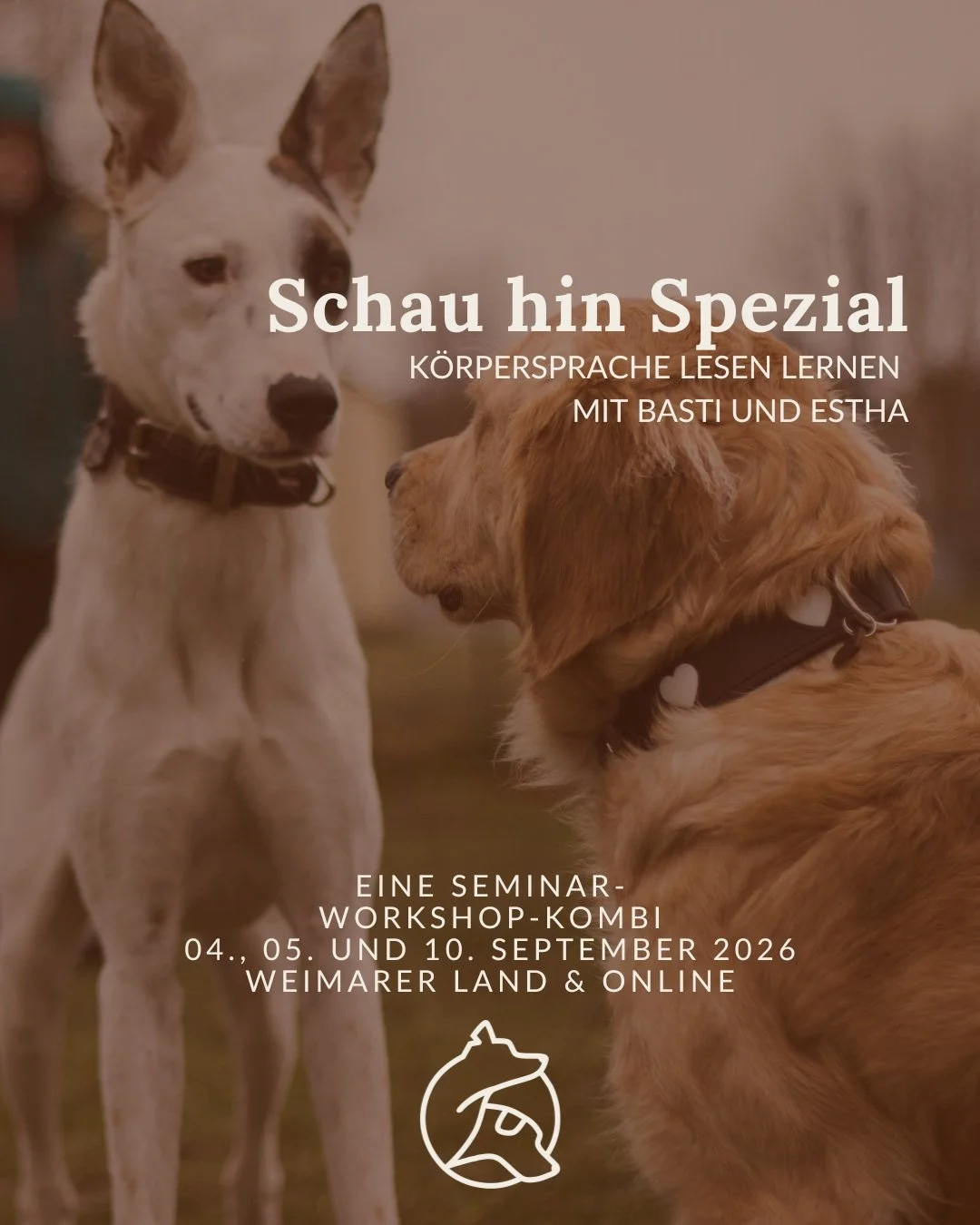 Artikel 1: Der Hund hat das Recht auf einen sachkundigen Besitzer
(Die Rechte des Hundes nach Canis)

K&Ouml;RPERSPRACHE
HUNDE LESEN LERNEN
HUNDESCHULE
HUNDE VERSTEHEN