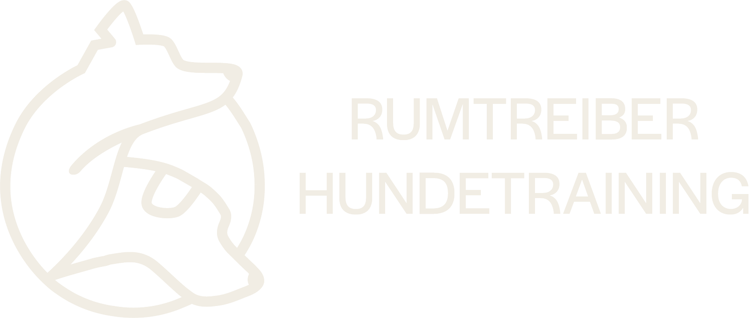Rumtreiber Hundeschule Weimar, Jena, Weimarer Land