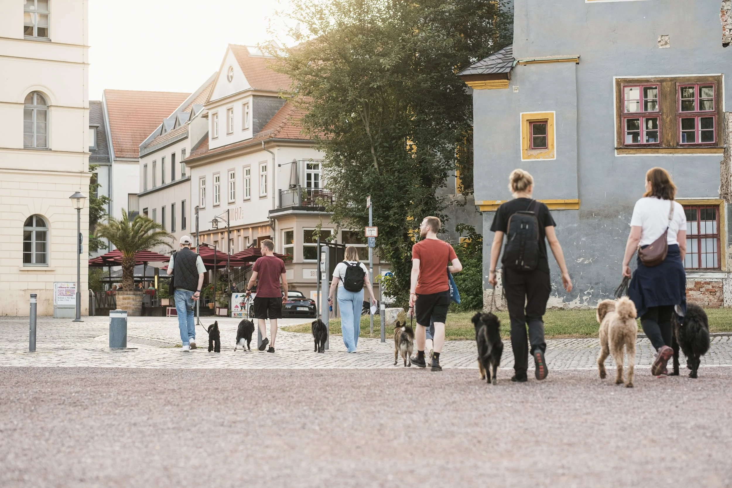 Eine Gruppe mit Menschen und Hunden auf einer Rätselsuche durch Weimar angeleitet durch die Spielleiterin Linda.