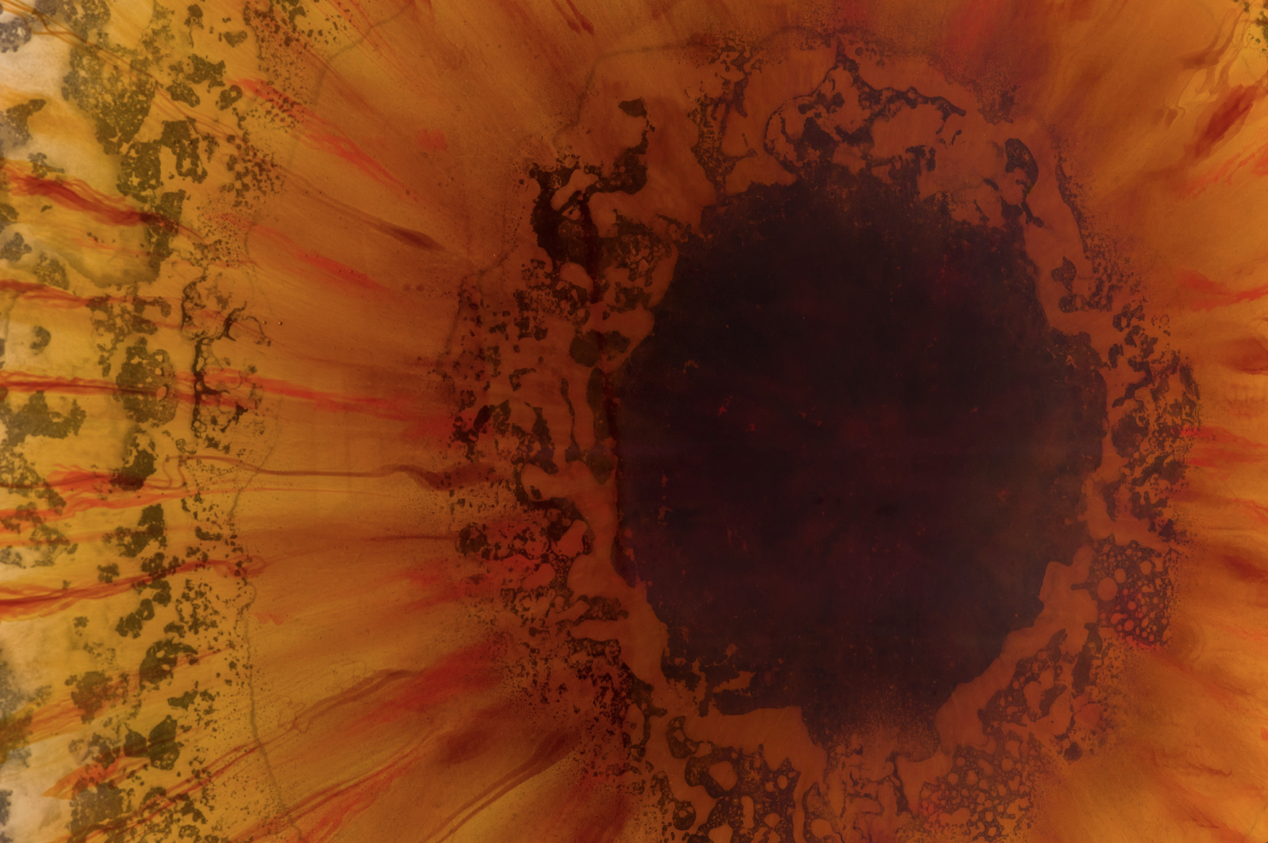 BALTIC IRIS MIRROR (DETAIL)