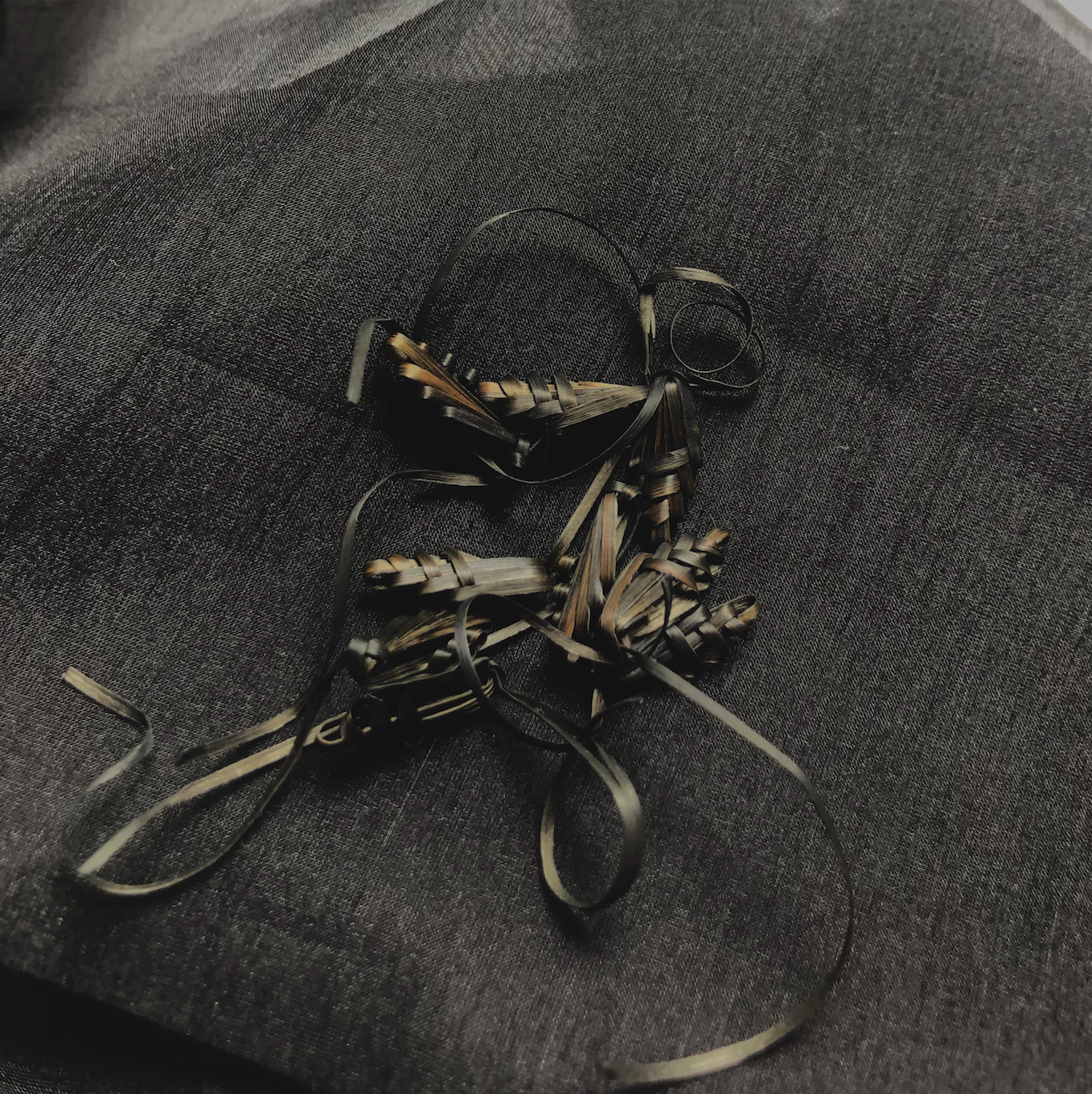 Ears for straw harlequin.png