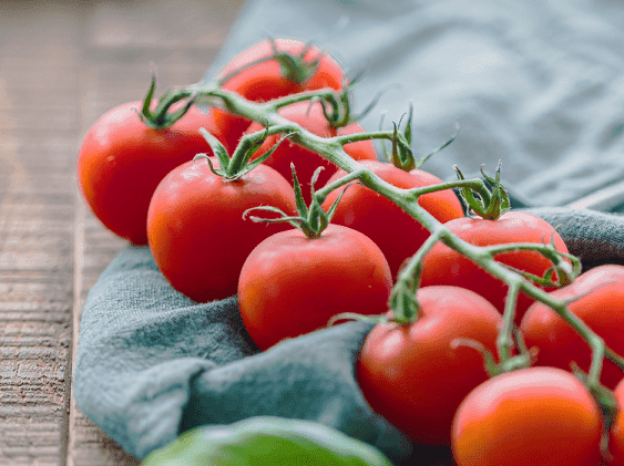 Tomate_Sandy_2.png