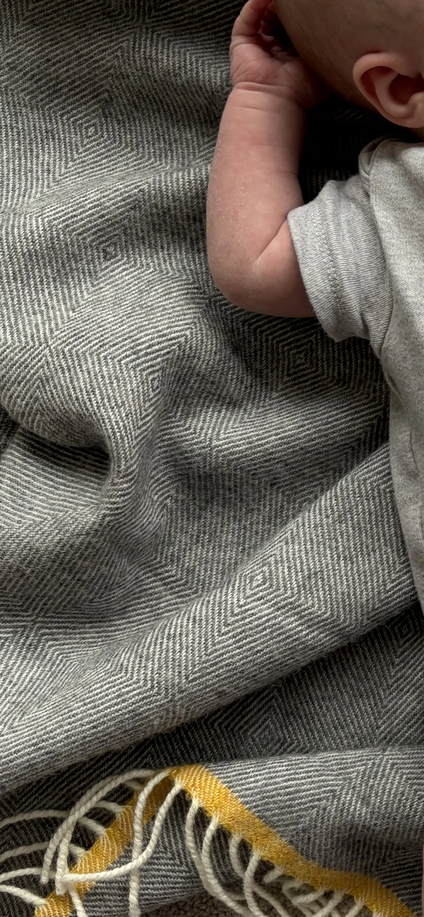 Photo 05-03-2026, 12 40 41 pm.jpg