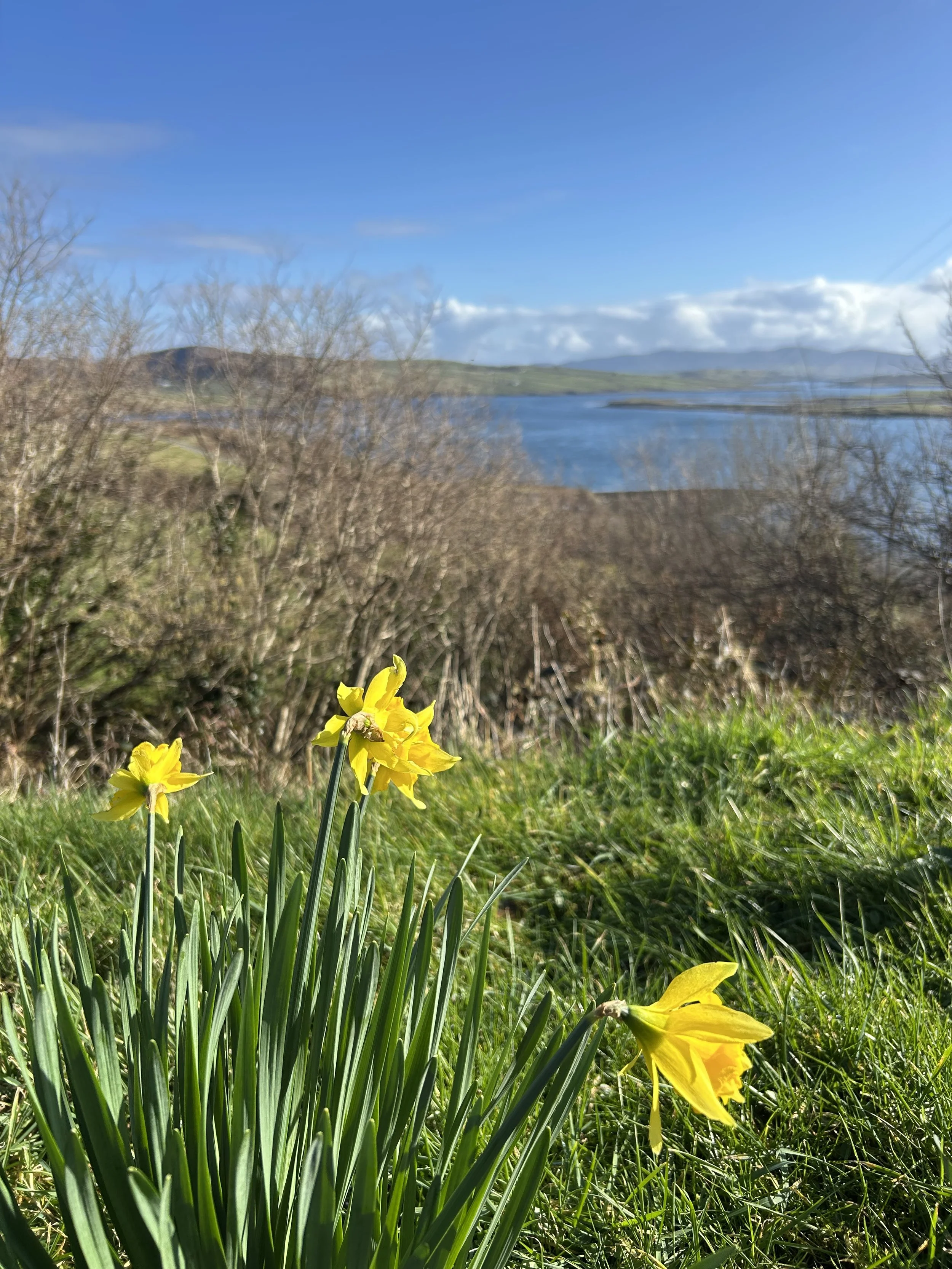 Spring 2026 Is All About Expression