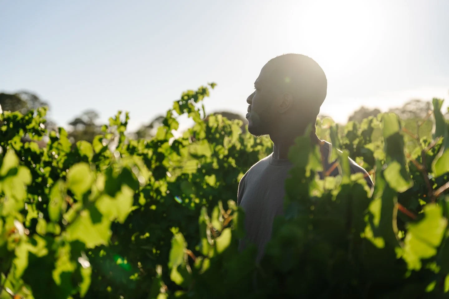 Nepenthe NITV_2025.01.13-10.jpg