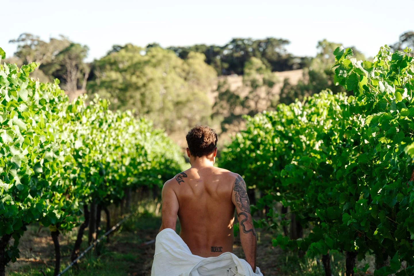 Nepenthe NITV_2025.01.13-16.jpg