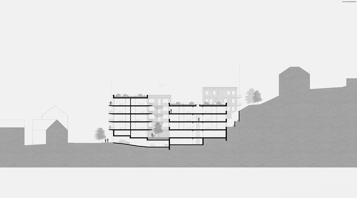 08-2026-bachelor-architektur-Baier-Schnitt-2.jpg