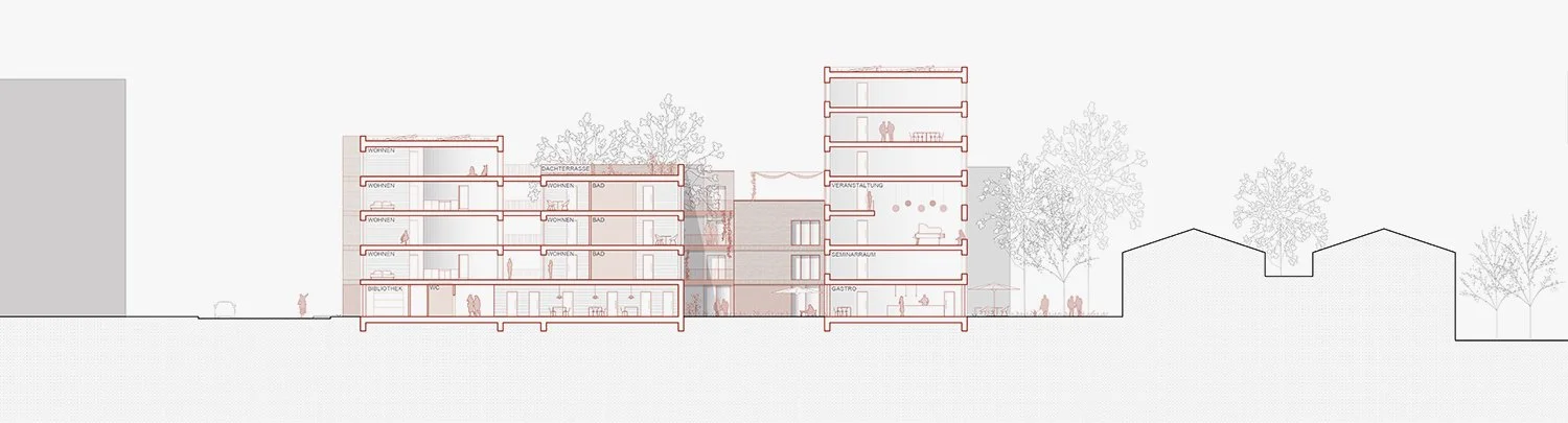 11_2026-master-architektur-frei-schmiedel-schnitt vertiefung 1.jpg