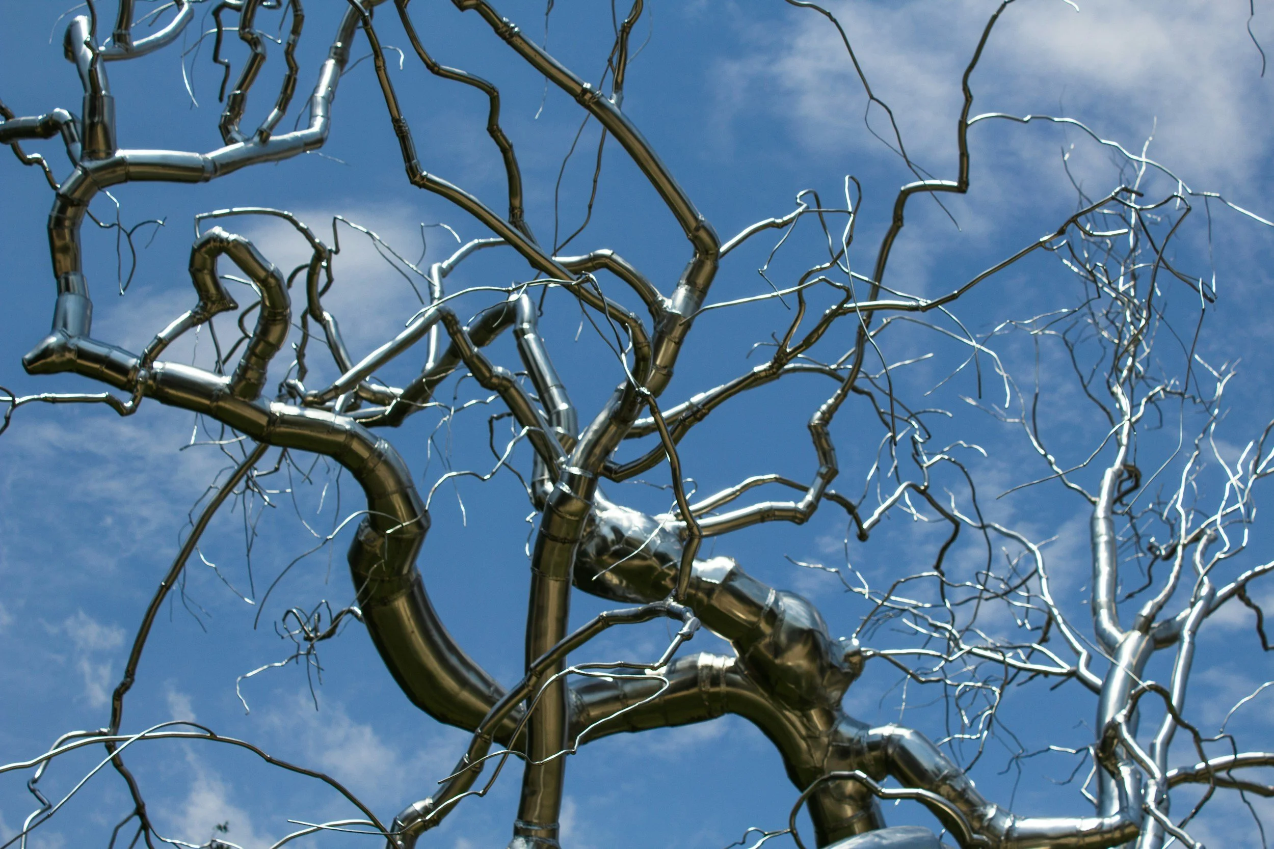 Neuro Tree for Gratitude