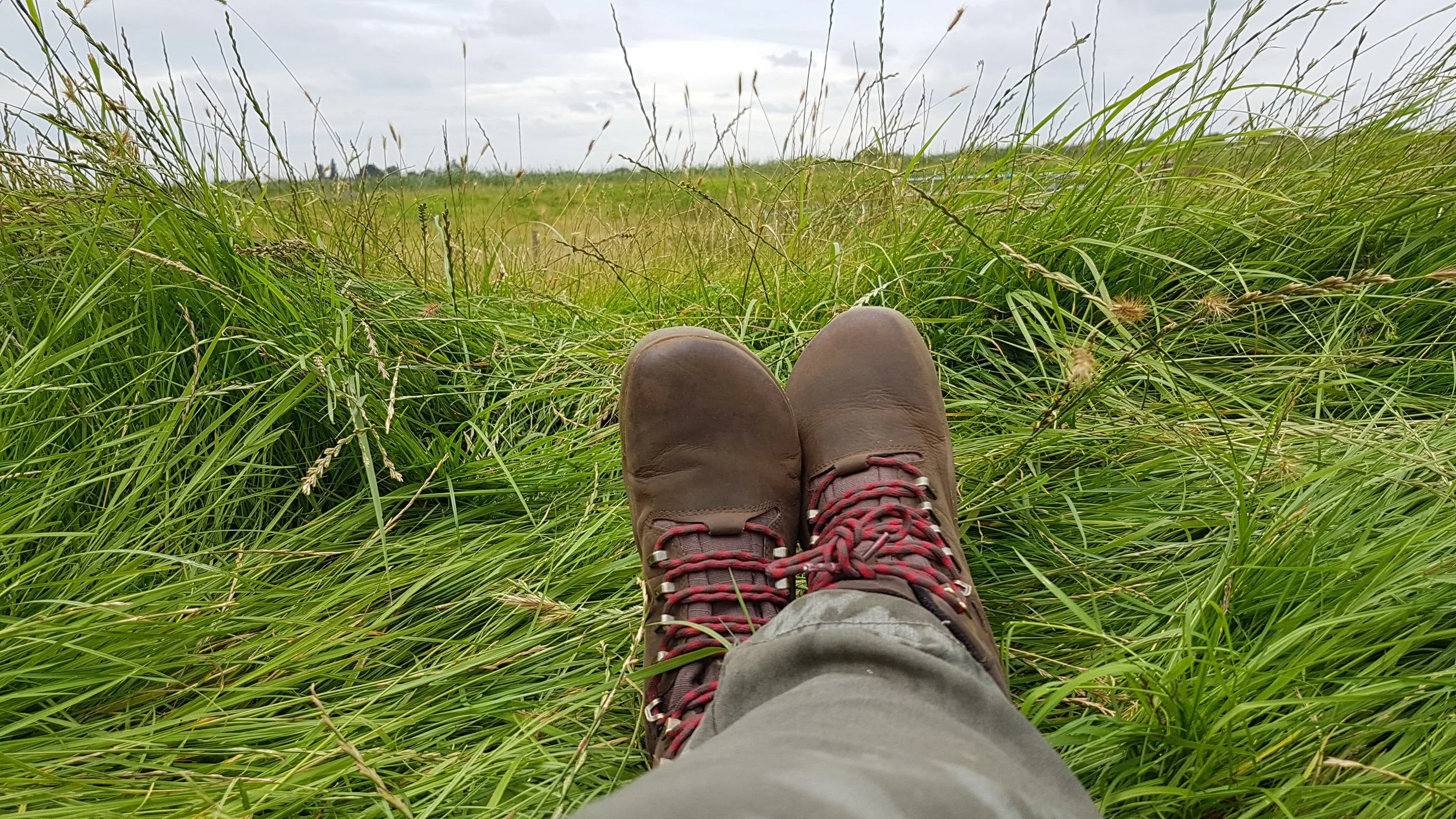 EcoNIDRA Nature Meditation