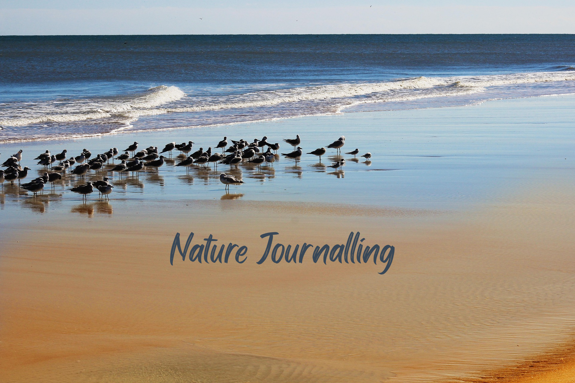 Nature Journalling by the Beach