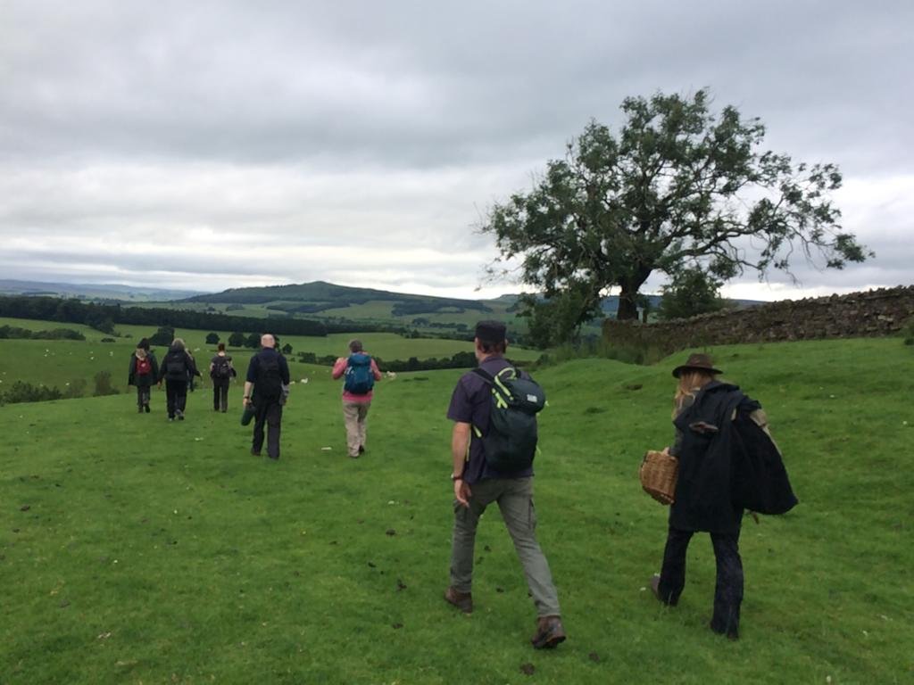 SOUND WALK (free to join)