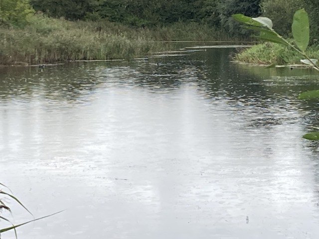 received_330115056223479.jpeg