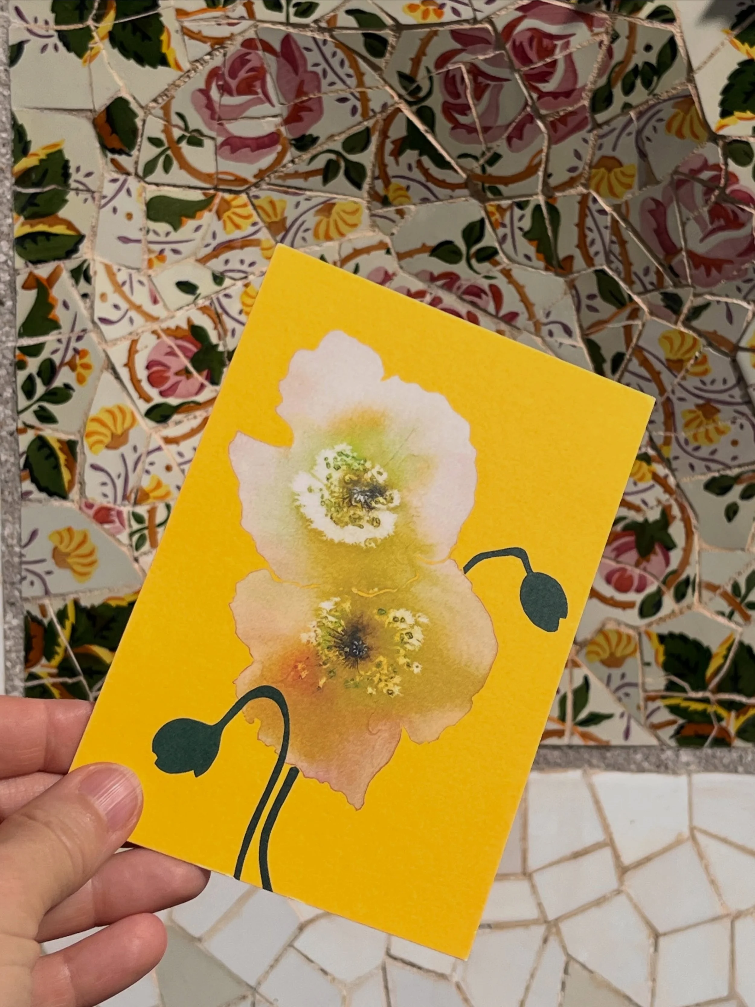 A postcard from beauty 🌸 

#barcelona #spain #illustration #artcards