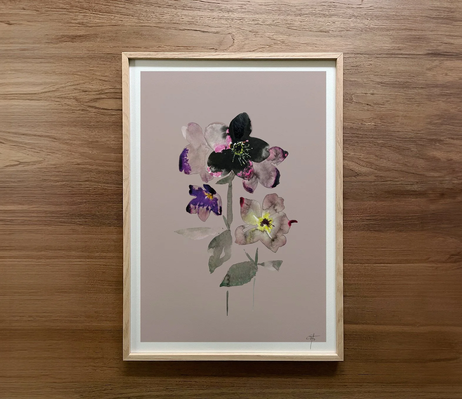 Anwendung_Prints_2026_A4_Helleborus.jpg