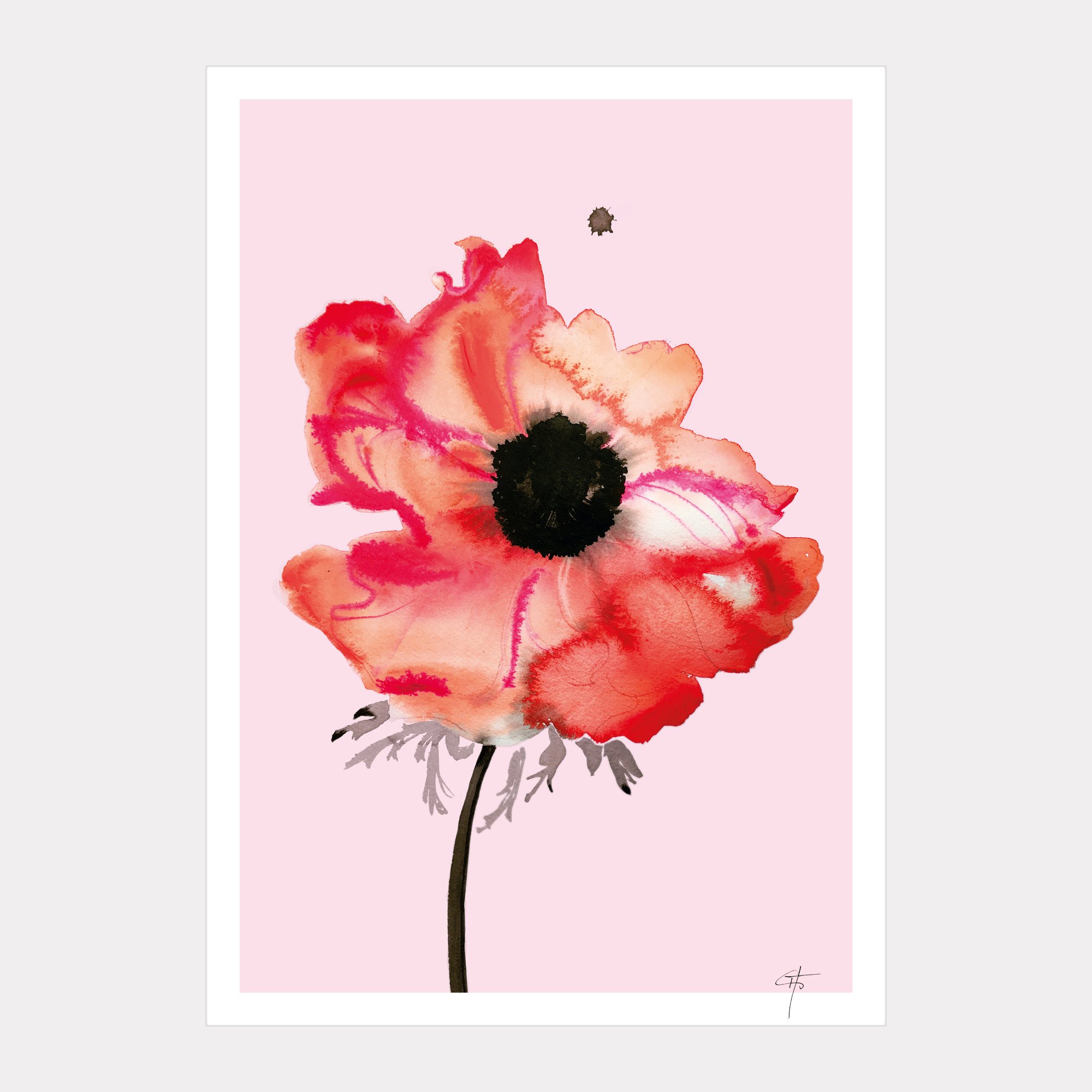 Anemone1_Print_A4_20269.jpg
