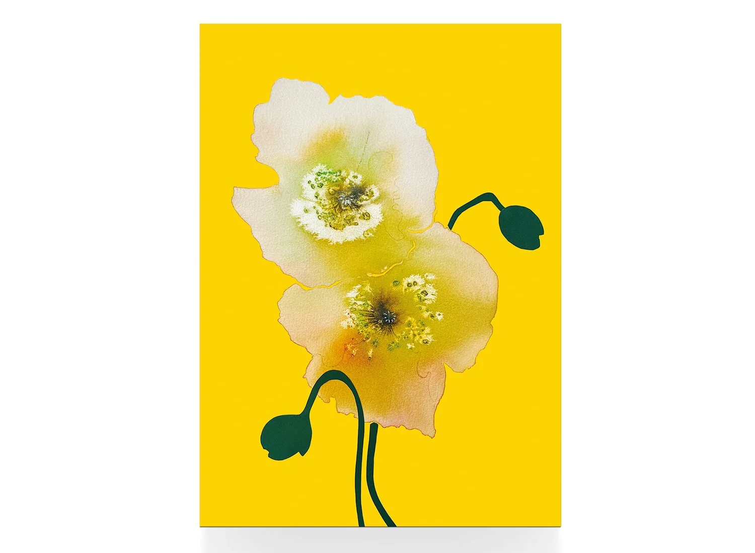 Mohn_1_Postkarte_solo.jpg