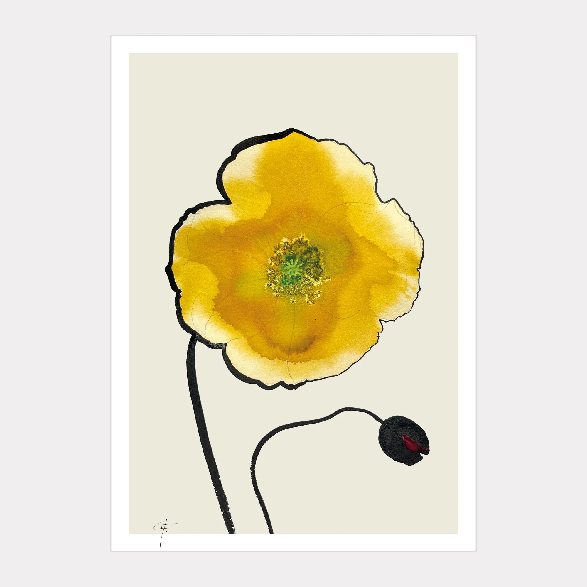 Mohn2_Print_A4_20268.jpg