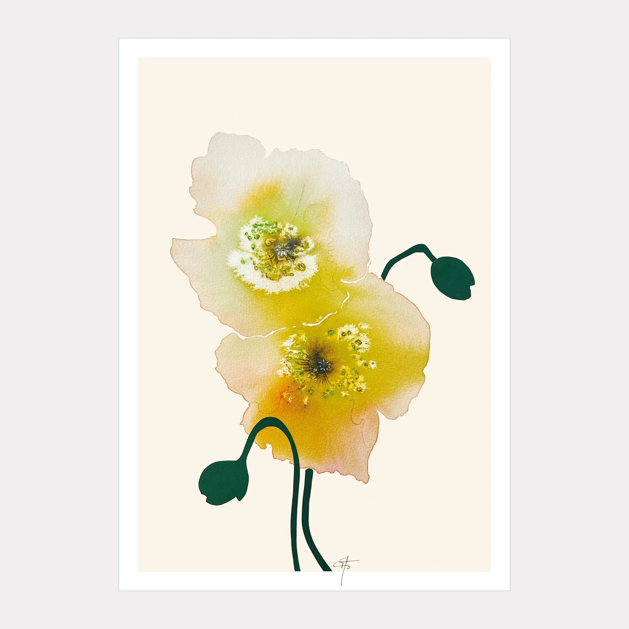 Mohn1_Print_A4_20267.jpg
