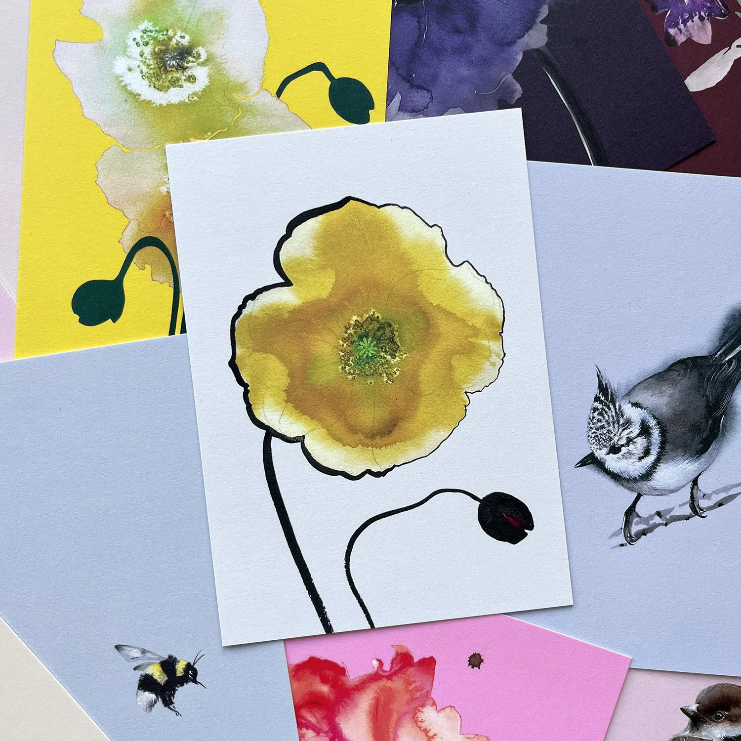 Mohn_2_Postkarte.jpg