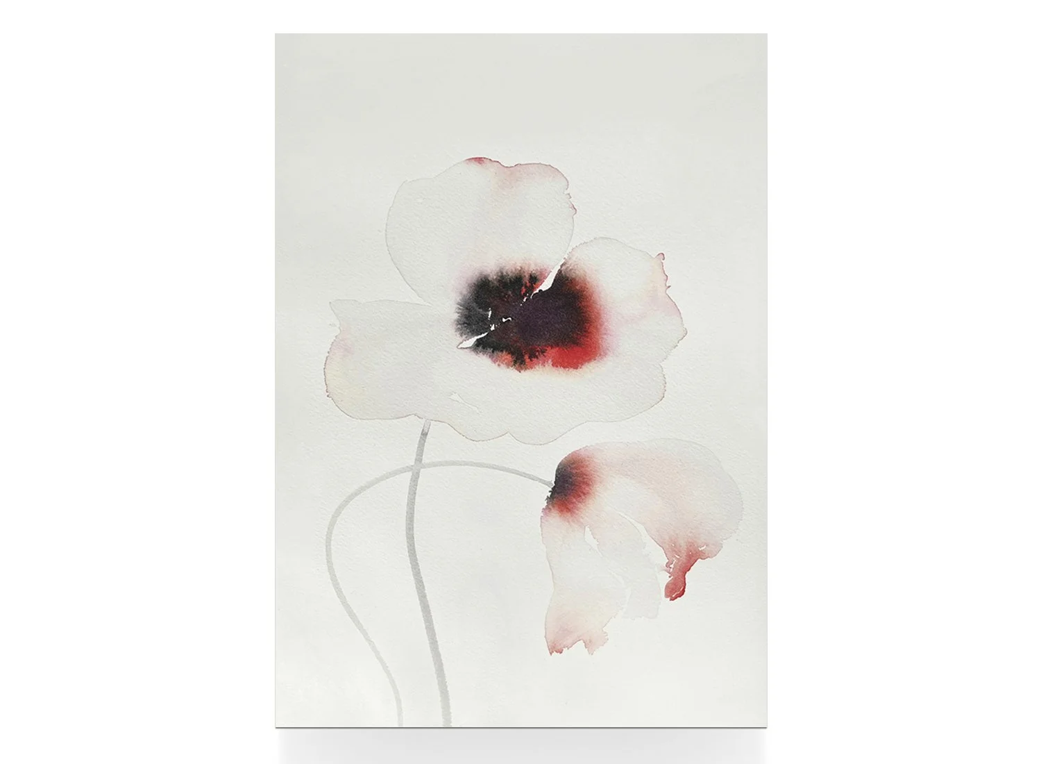 Mohn_2_Postkarte_Soloe.jpg