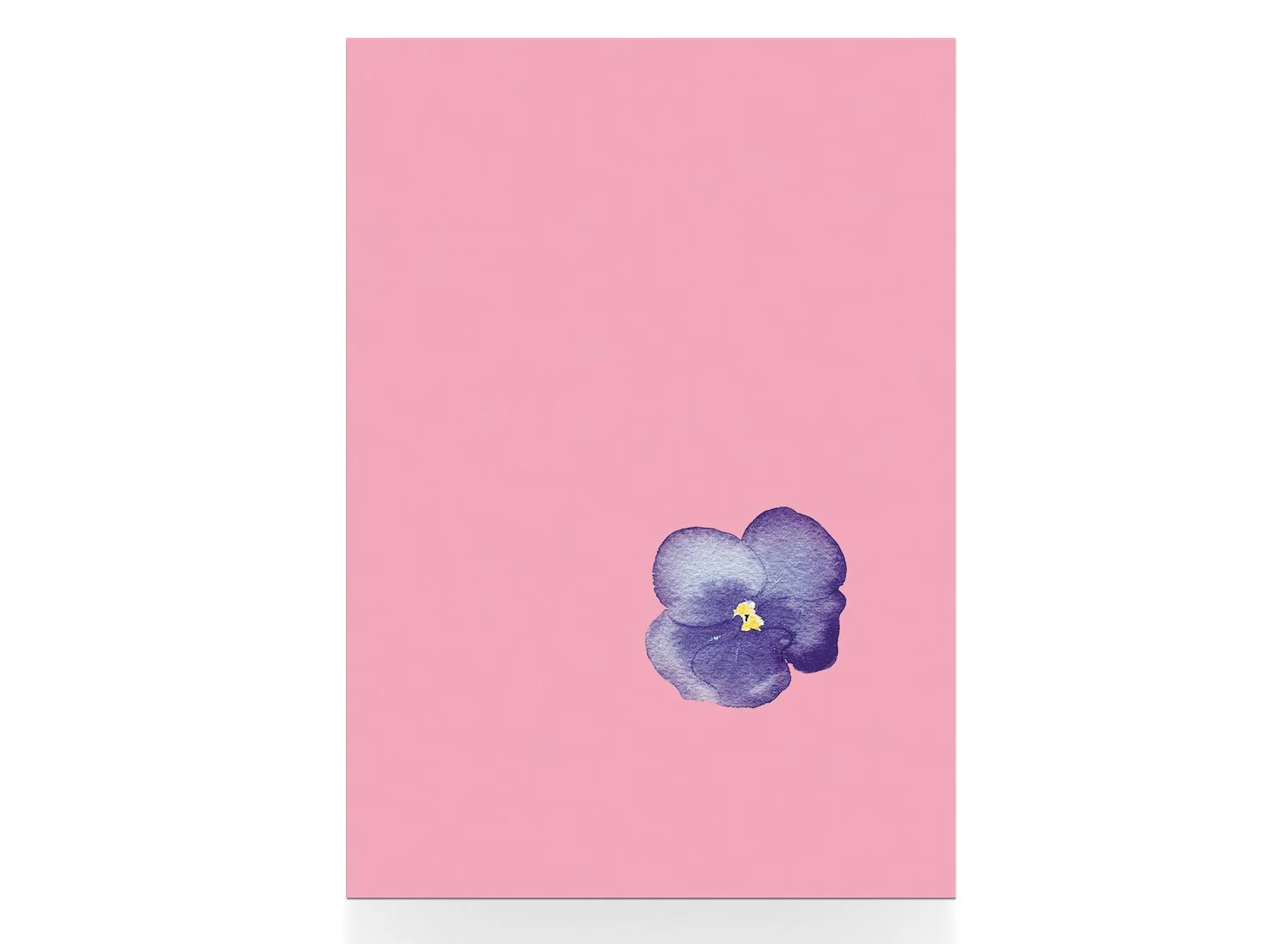 Stiefmuetterchen_2_Postkarte_solo.jpg