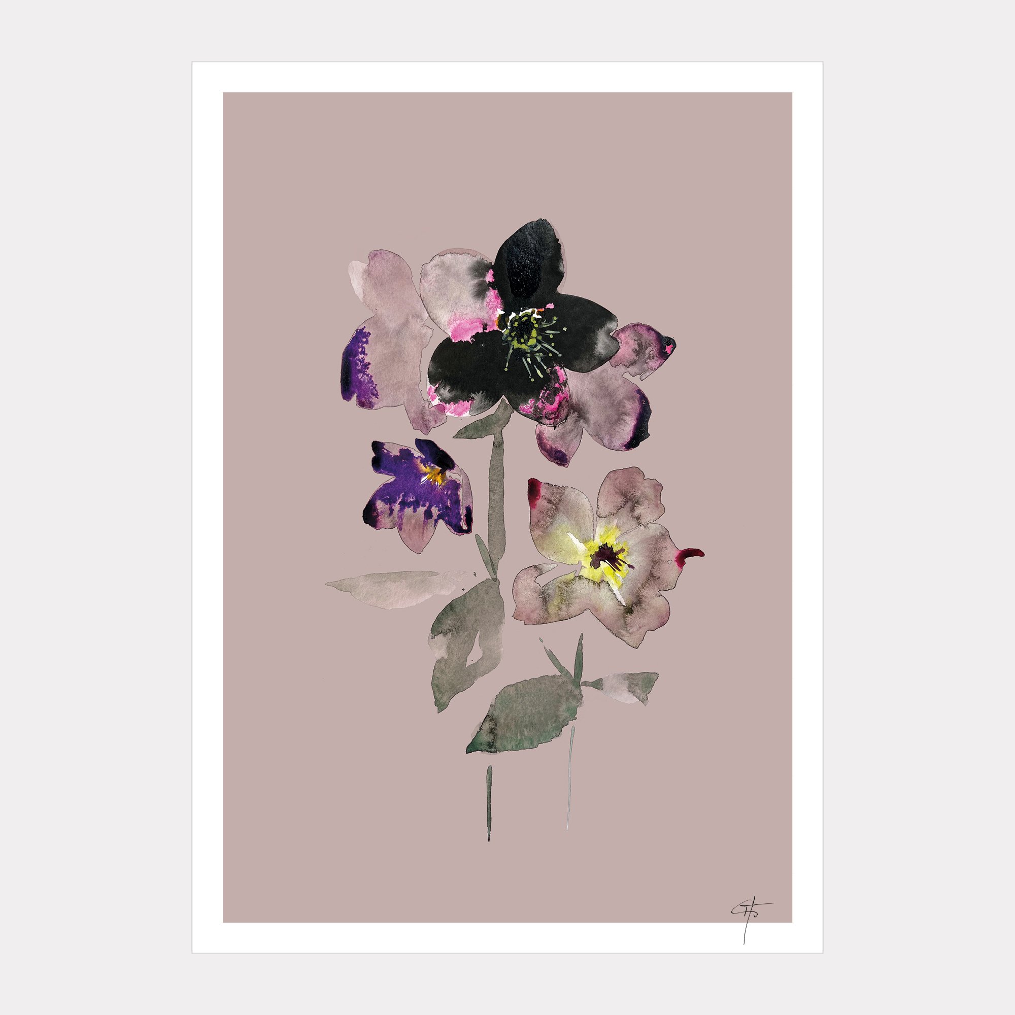 Helleborus_Print_A4_202614.jpg