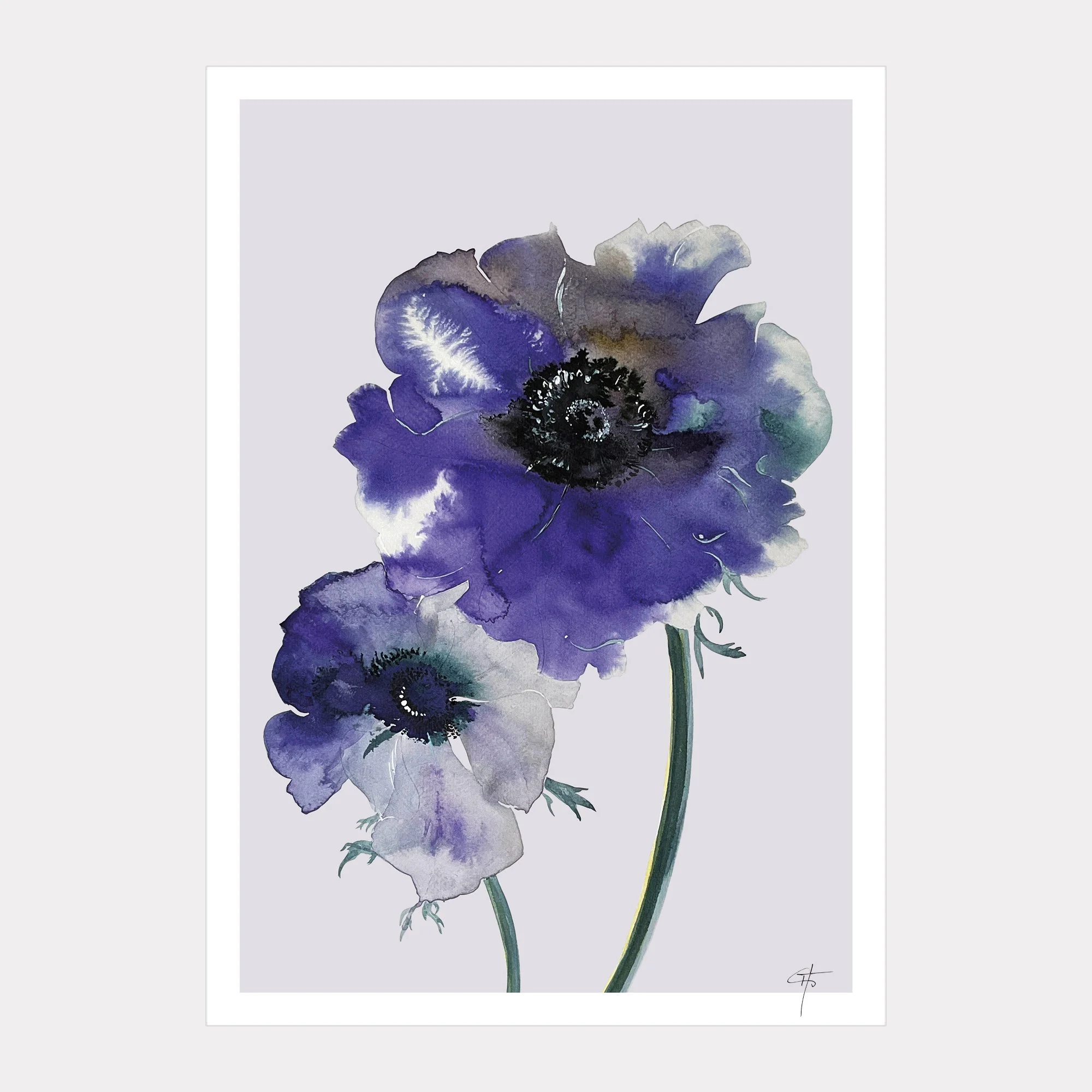 Anemone2_Print_A4_202610.jpg