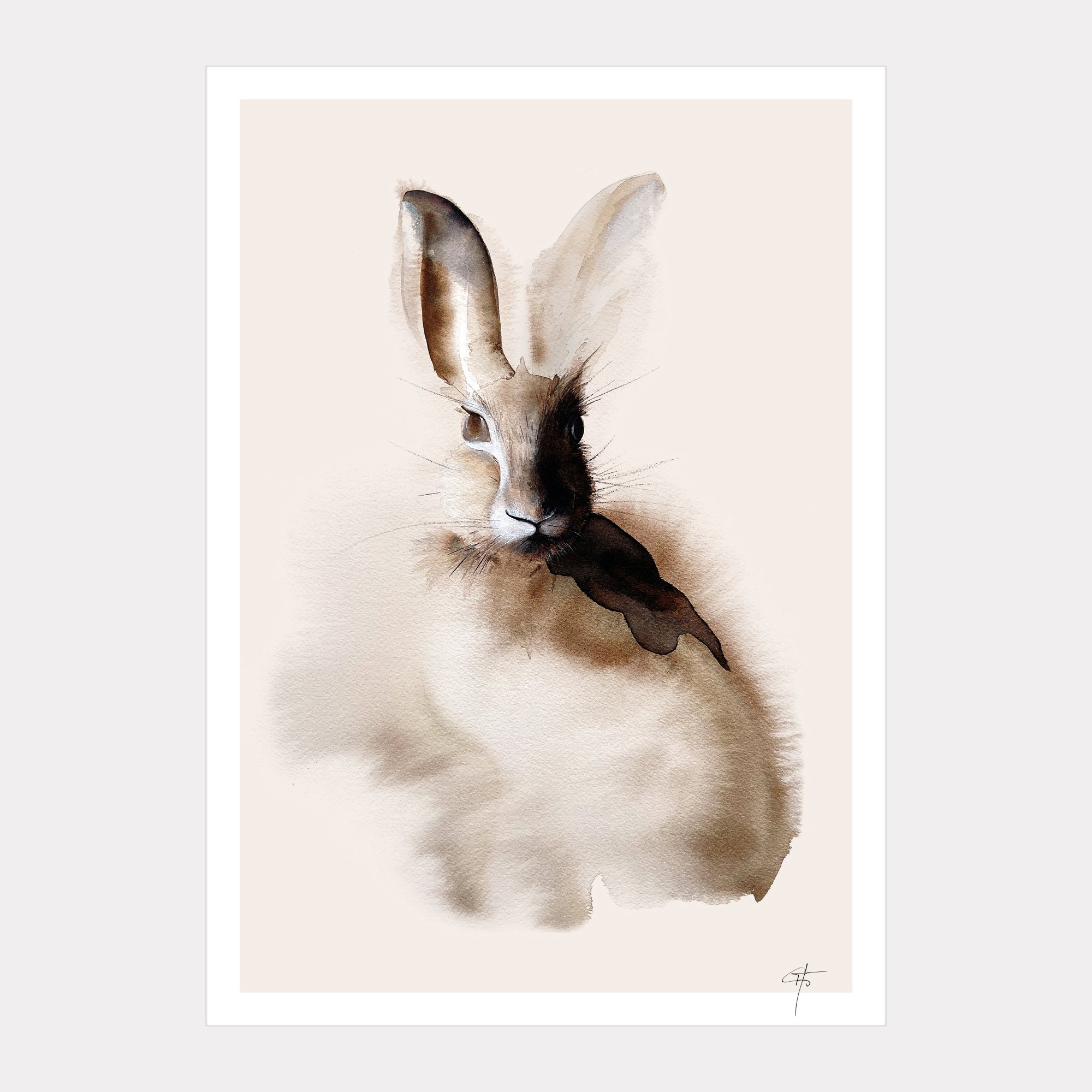 Felix_Print_A4_2026.jpg