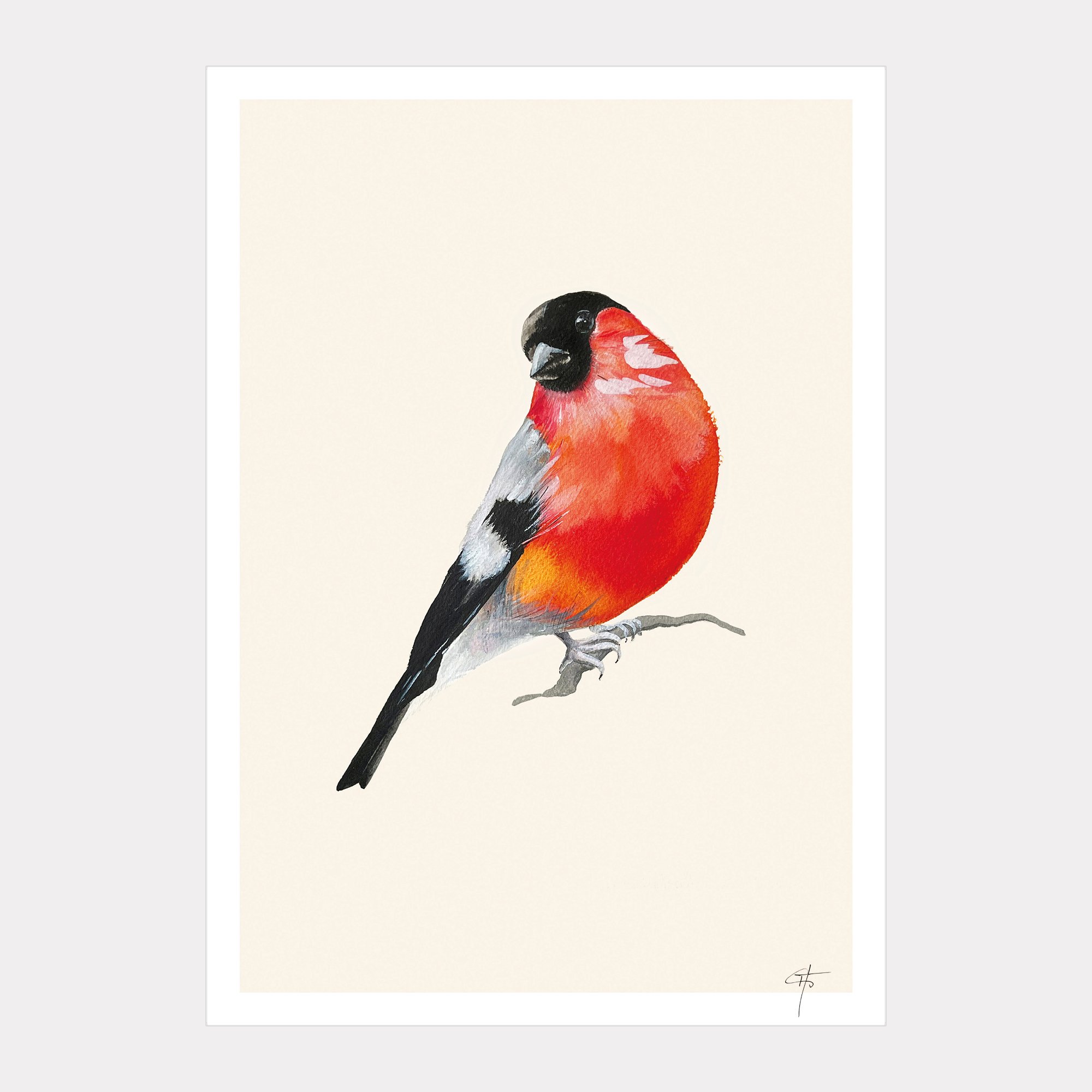 Guido_Print_A4_20265.jpg