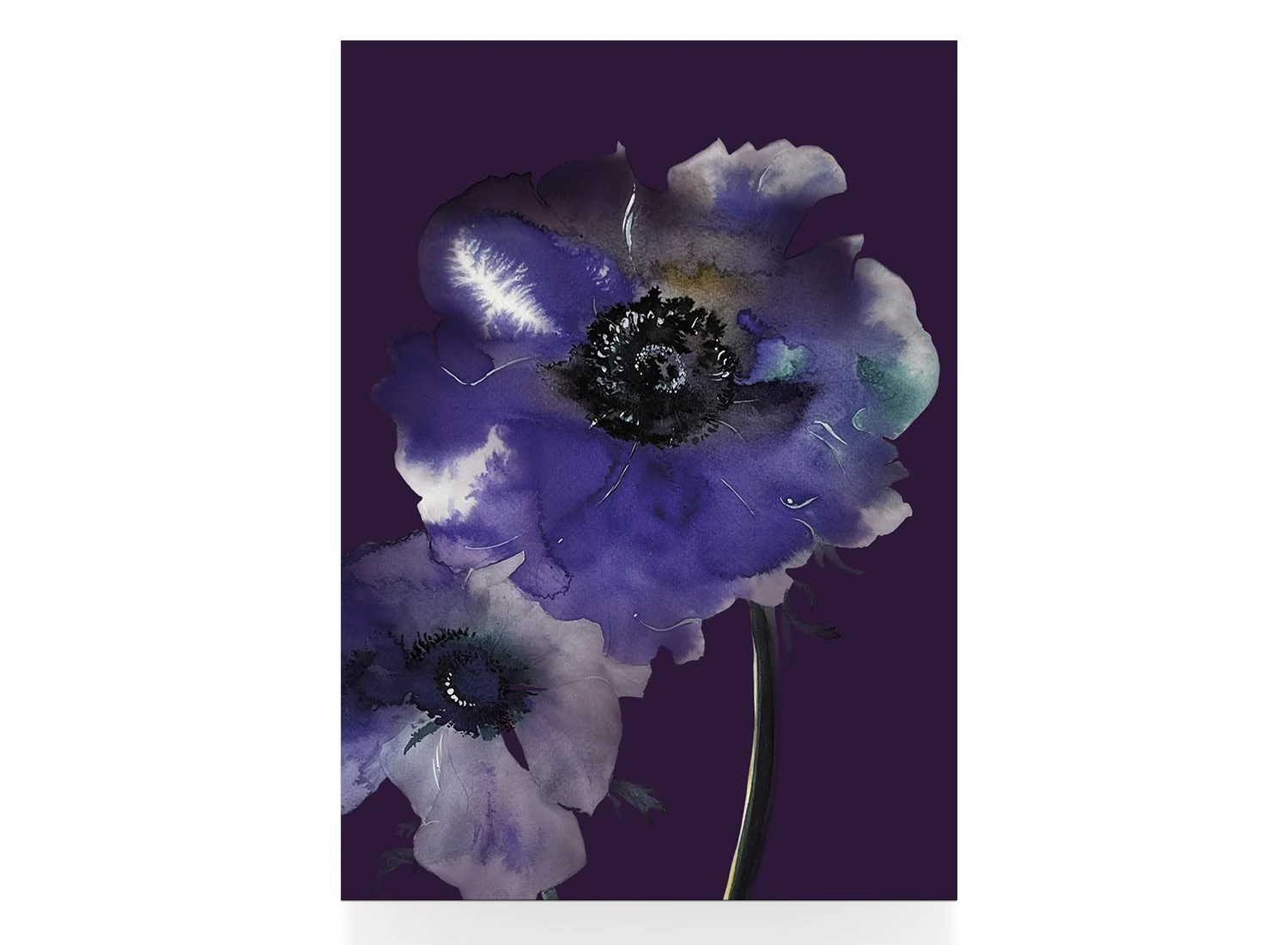 Anemone_3_Postkarte_solo.jpg