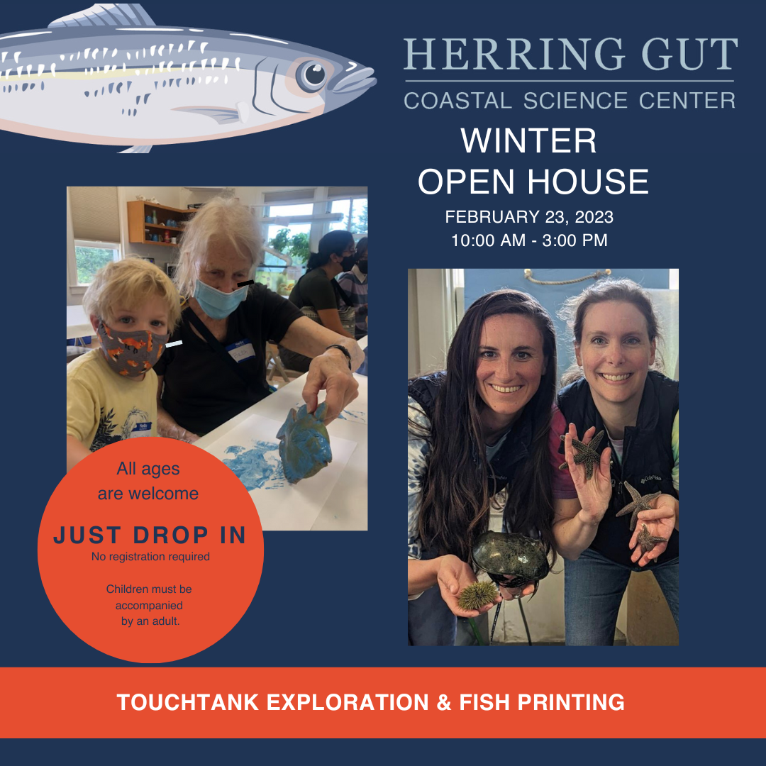 Herring Gut Coastal Science Center