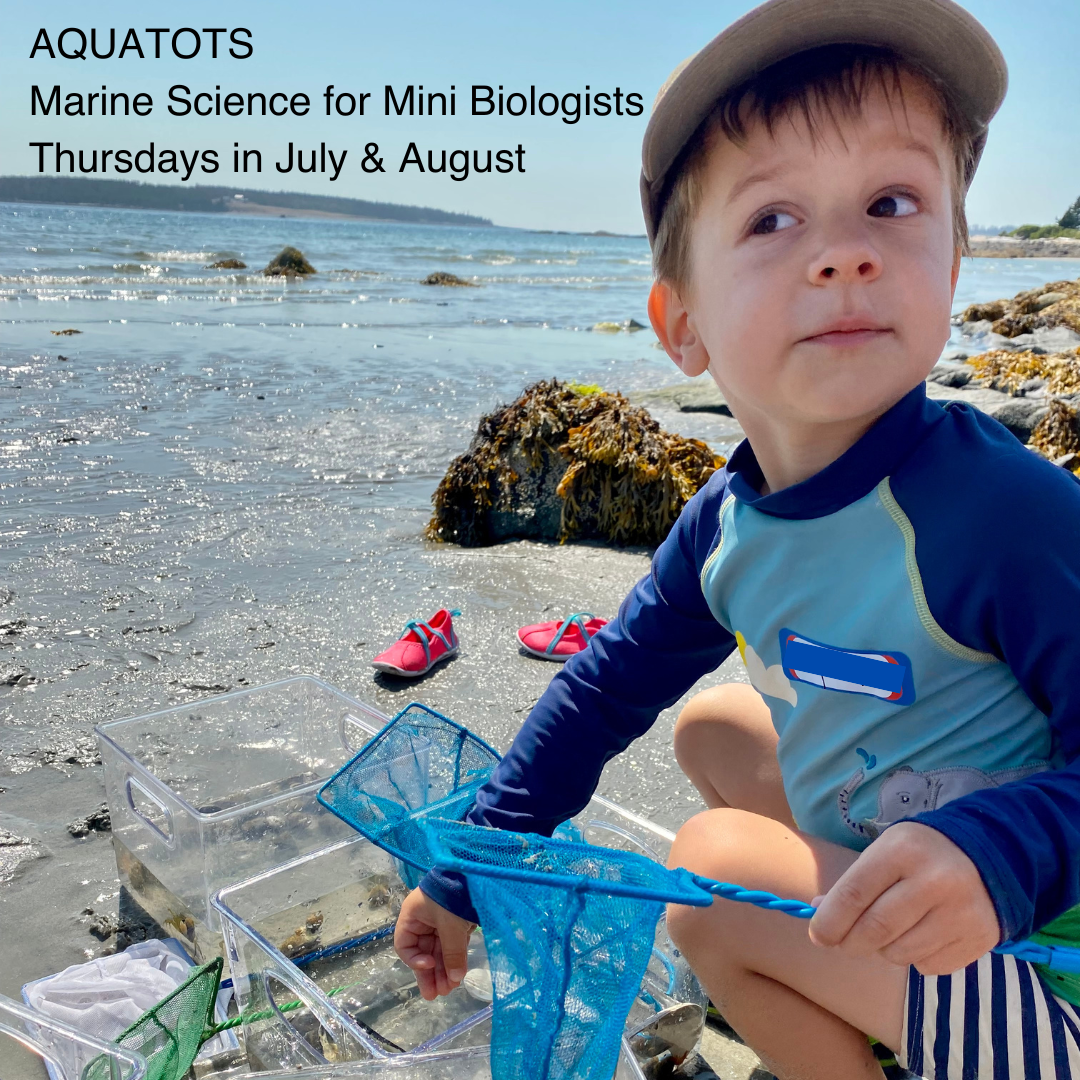 Herring Gut Coastal Science Center