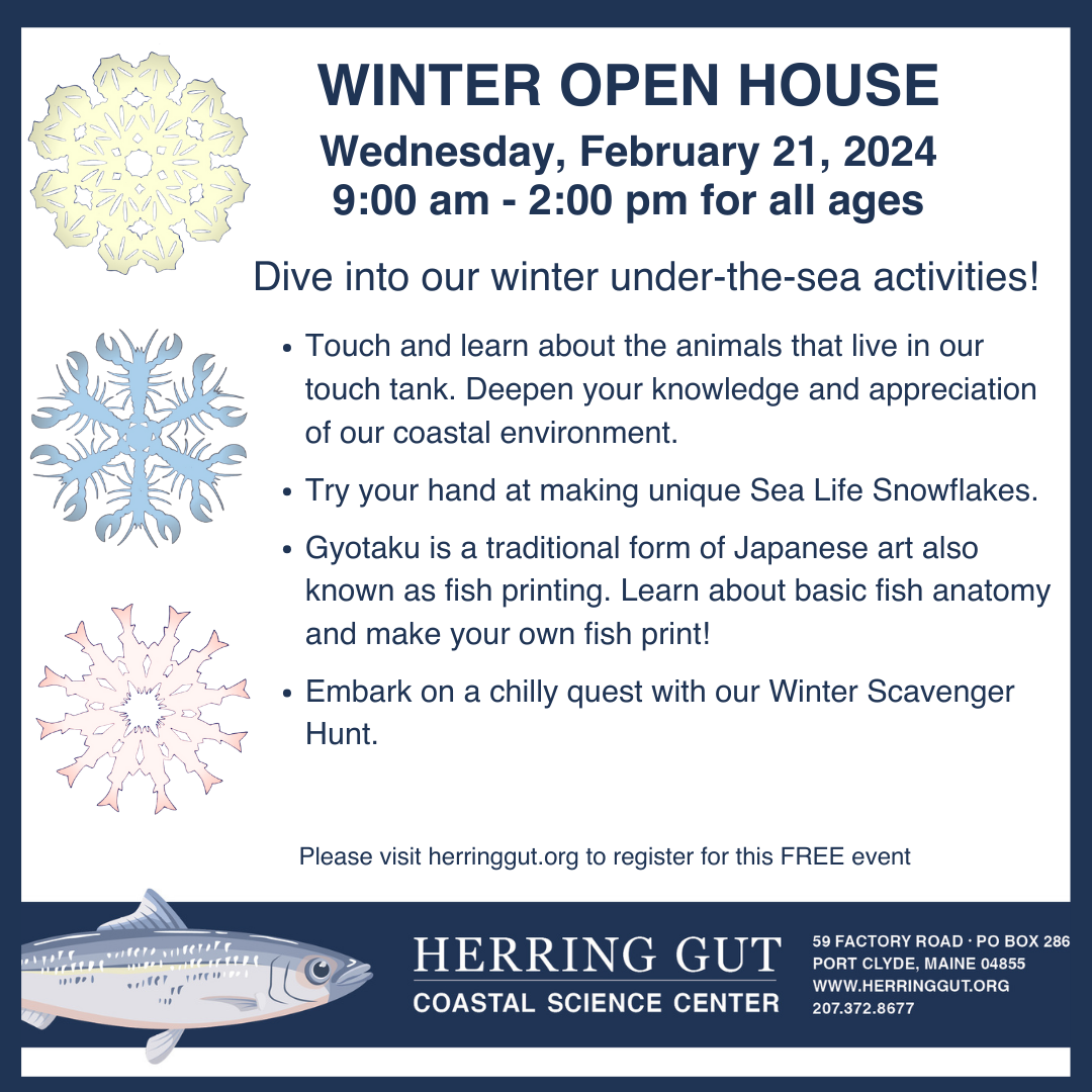 Foe Winter Event 2025 Quests Myrah Tiphany