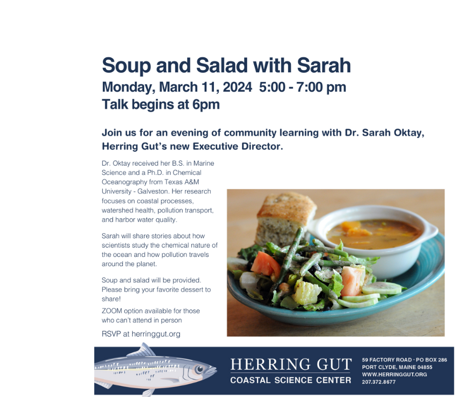 Soup and Salad with Sarah