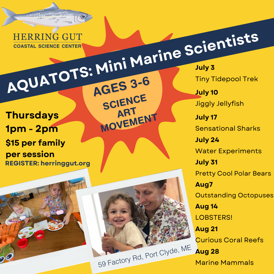 Aquatots