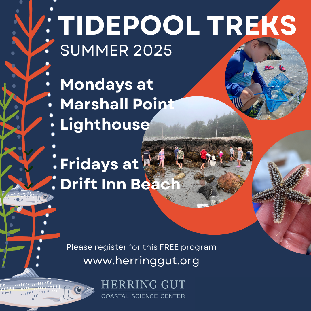 Tidepool Treks