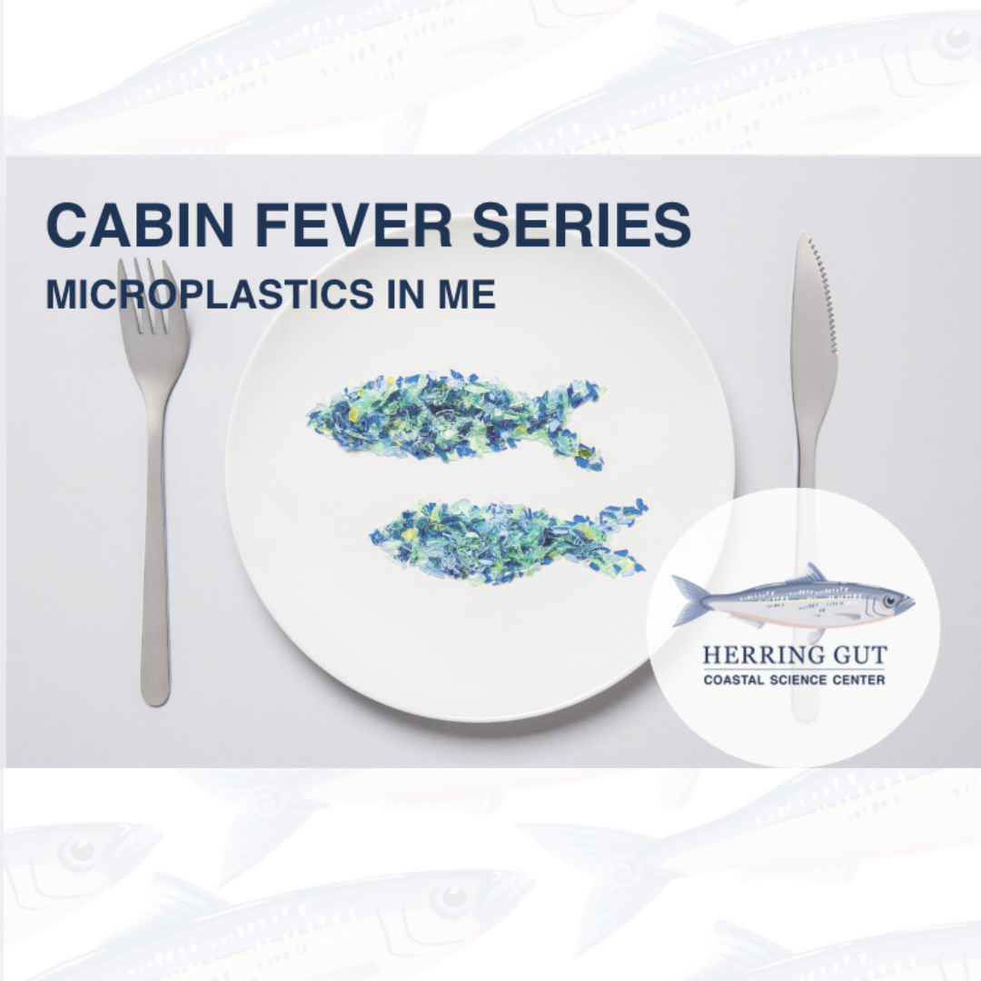 MICROPLASTICS IN ME