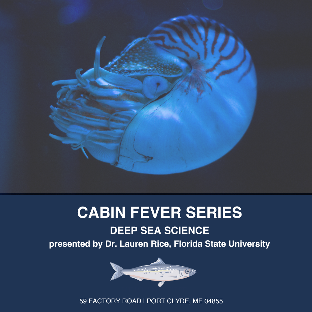 Deep Sea Science