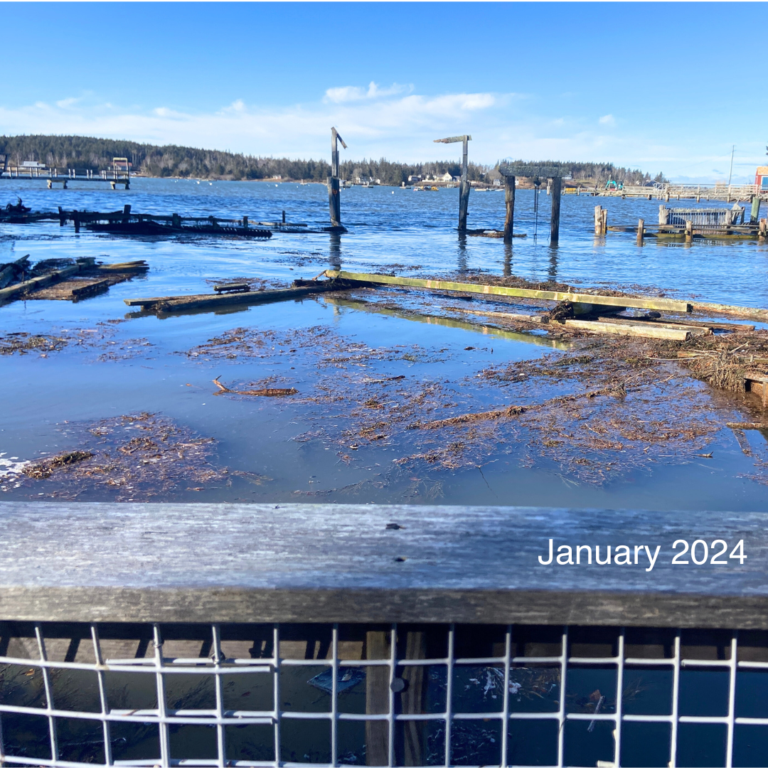 Herring Gut Coastal Science Center Recipient of Maine Business Recovery and Resilience Fund Grant