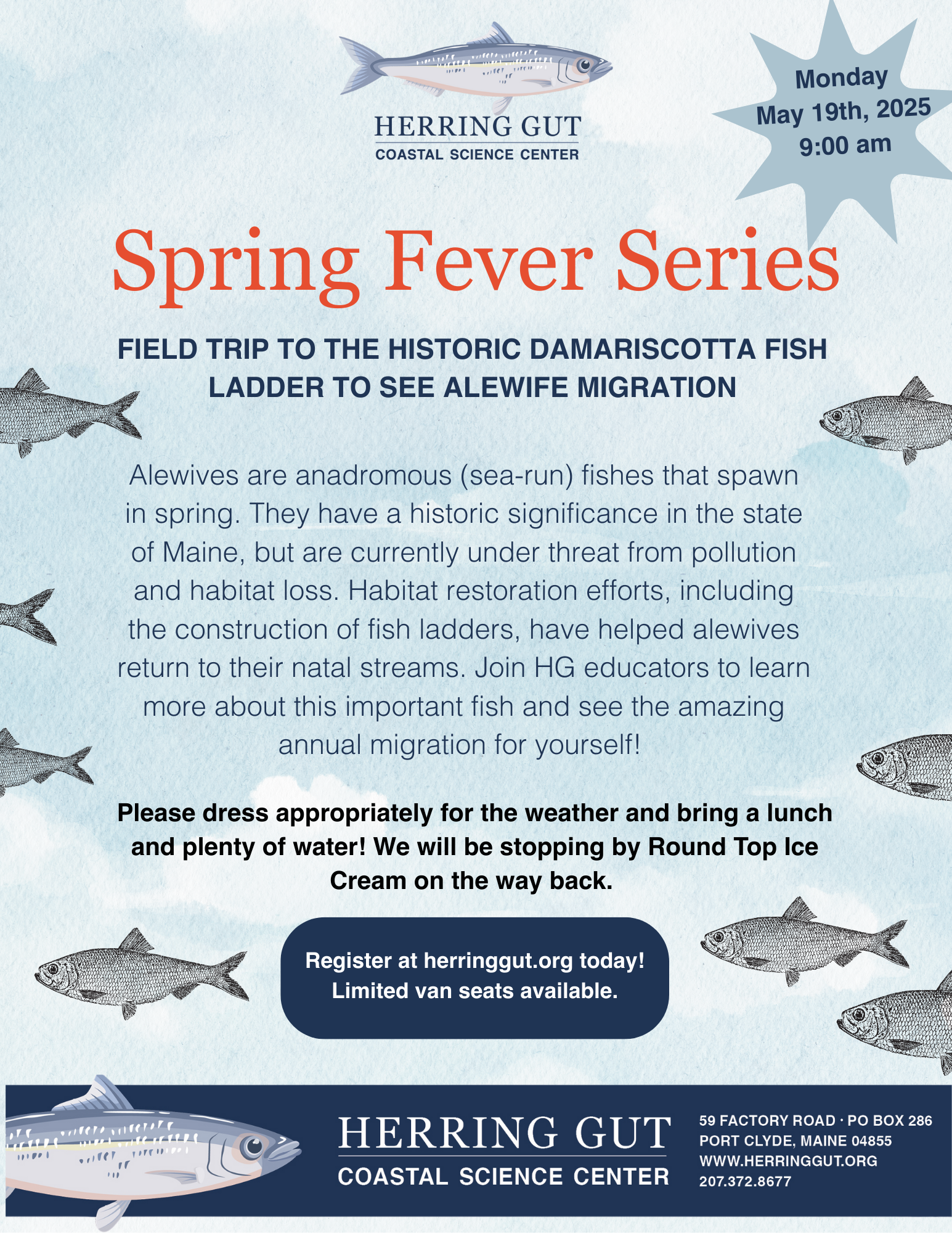 Damariscotta Fish Ladder