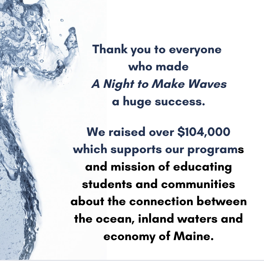 A Night to Make Waves