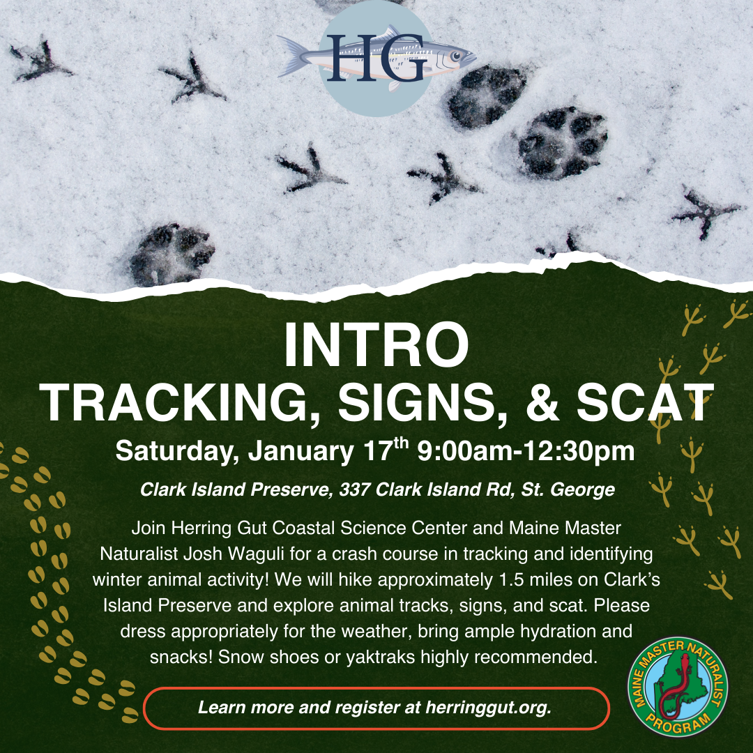 Tracking, Signs &amp; Scat