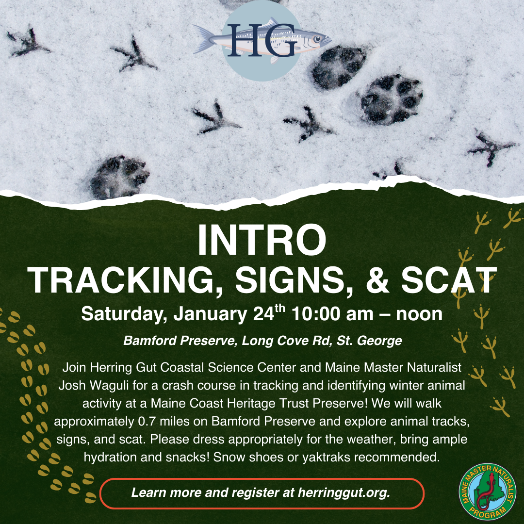 Tracking, Signs &amp; Scat