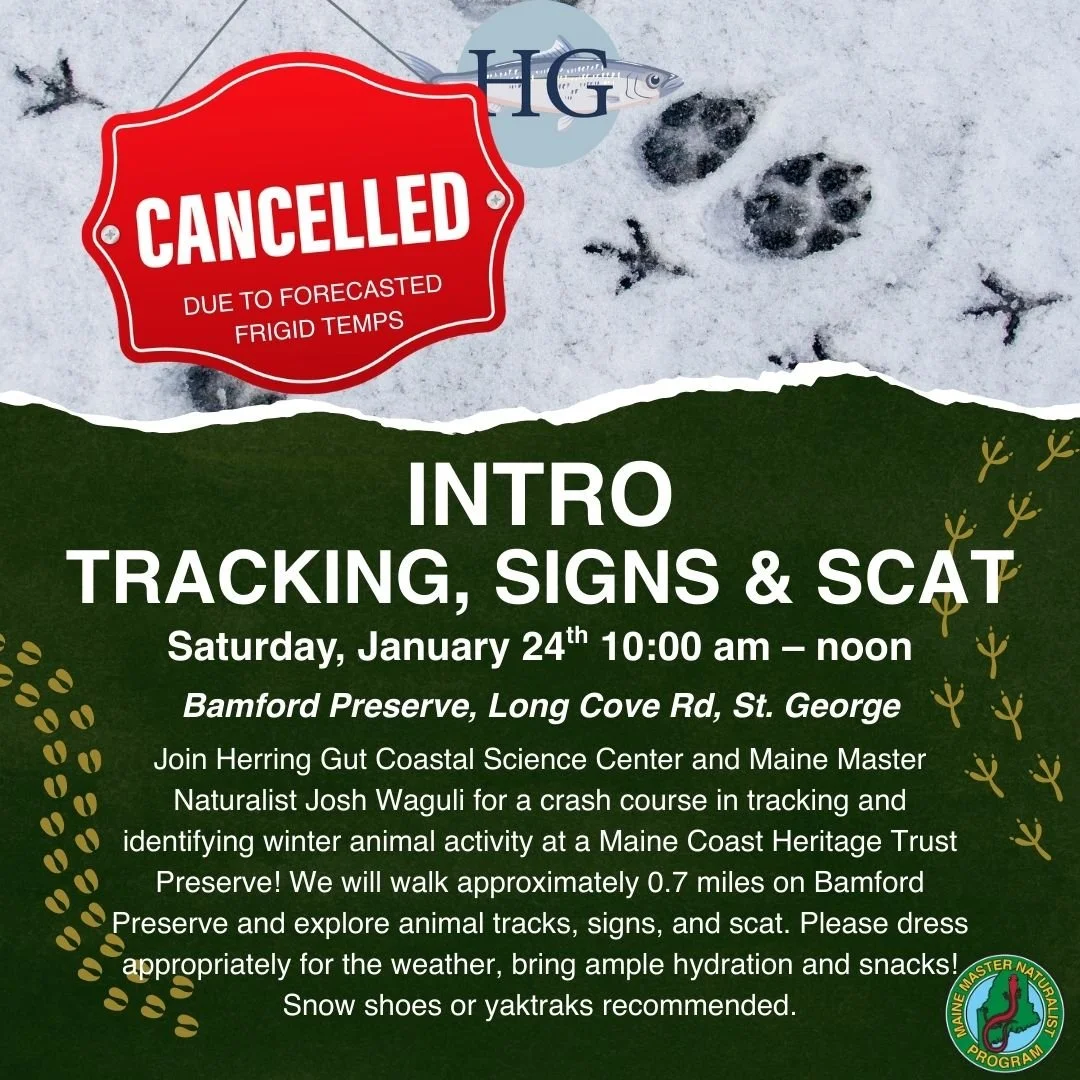 Tracking, Signs &amp; Scat