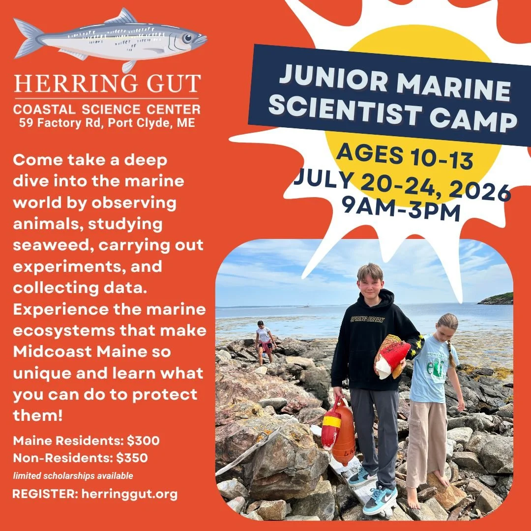 Junior Marine Scientists