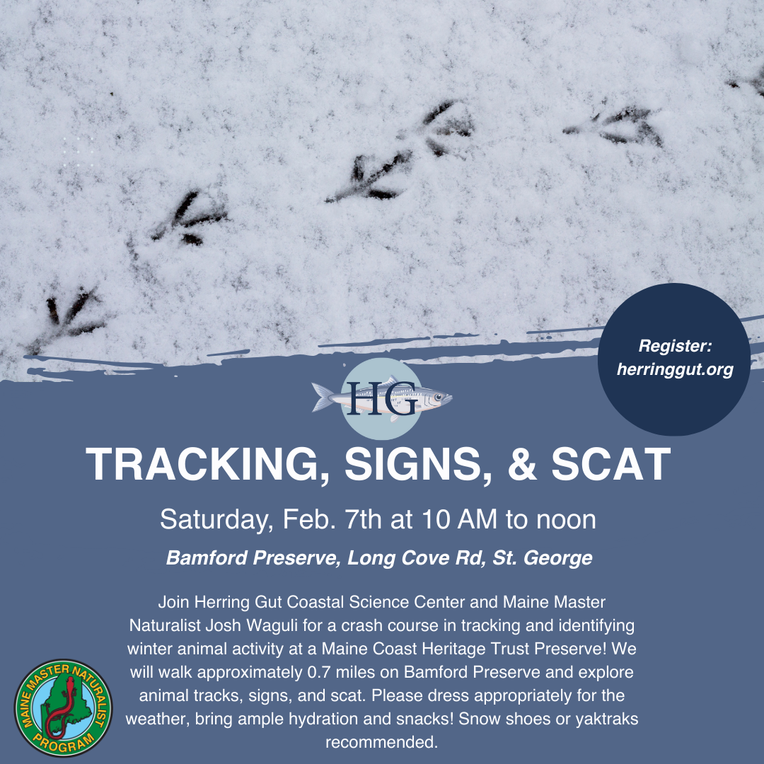 Tracking, Signs &amp; Scat