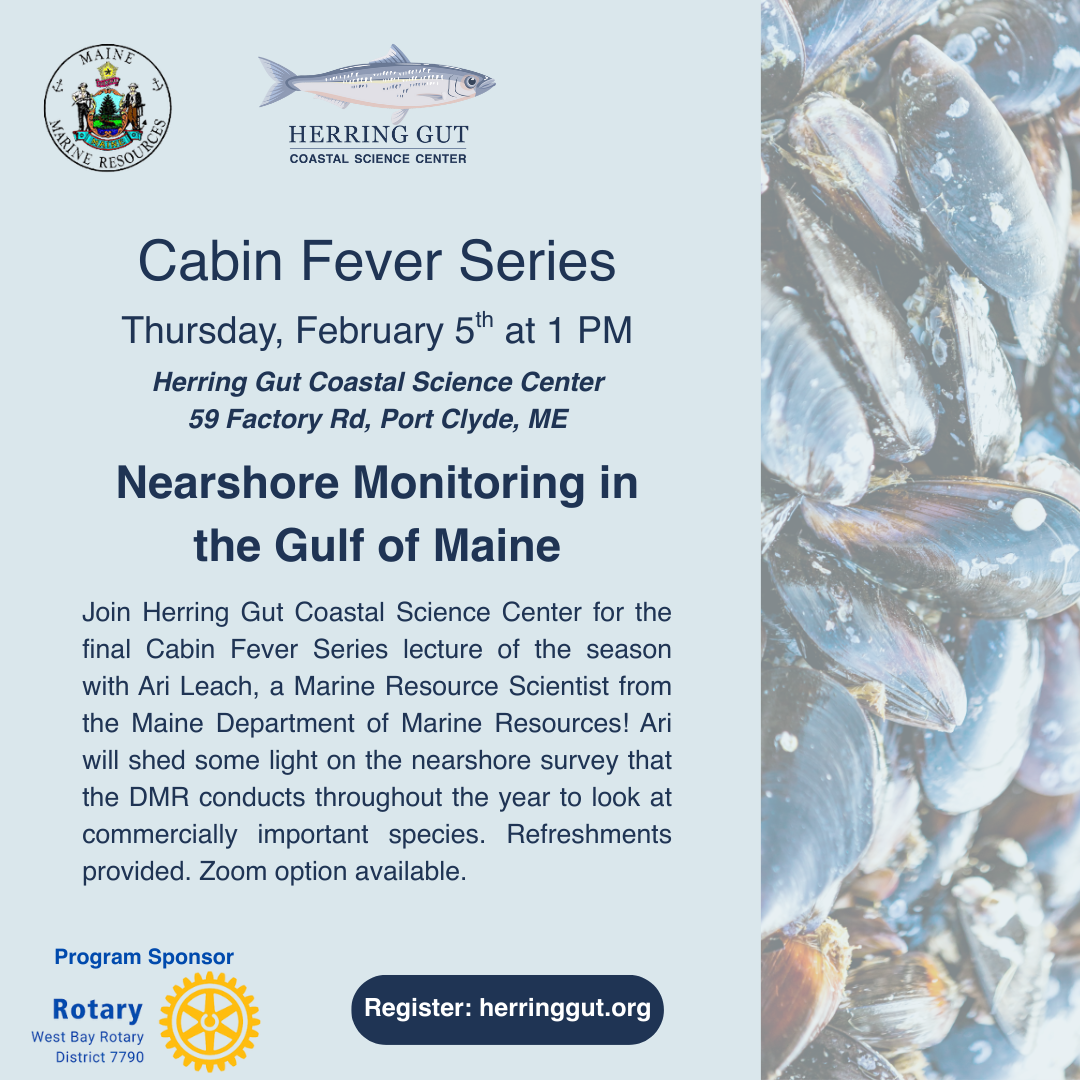 Nearshore Monitoring in the Gulf of Maine