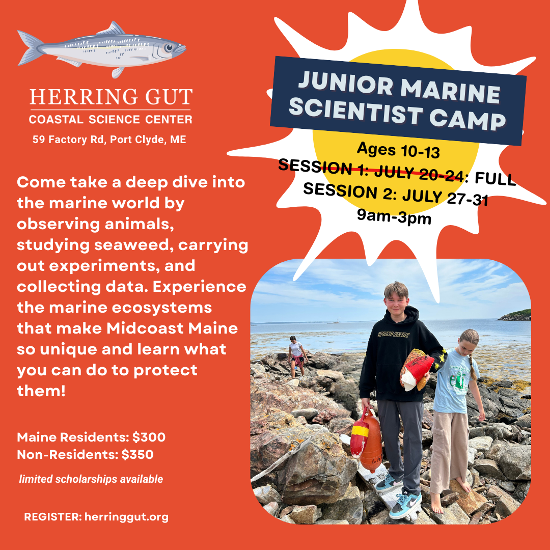 Junior Marine Scientists